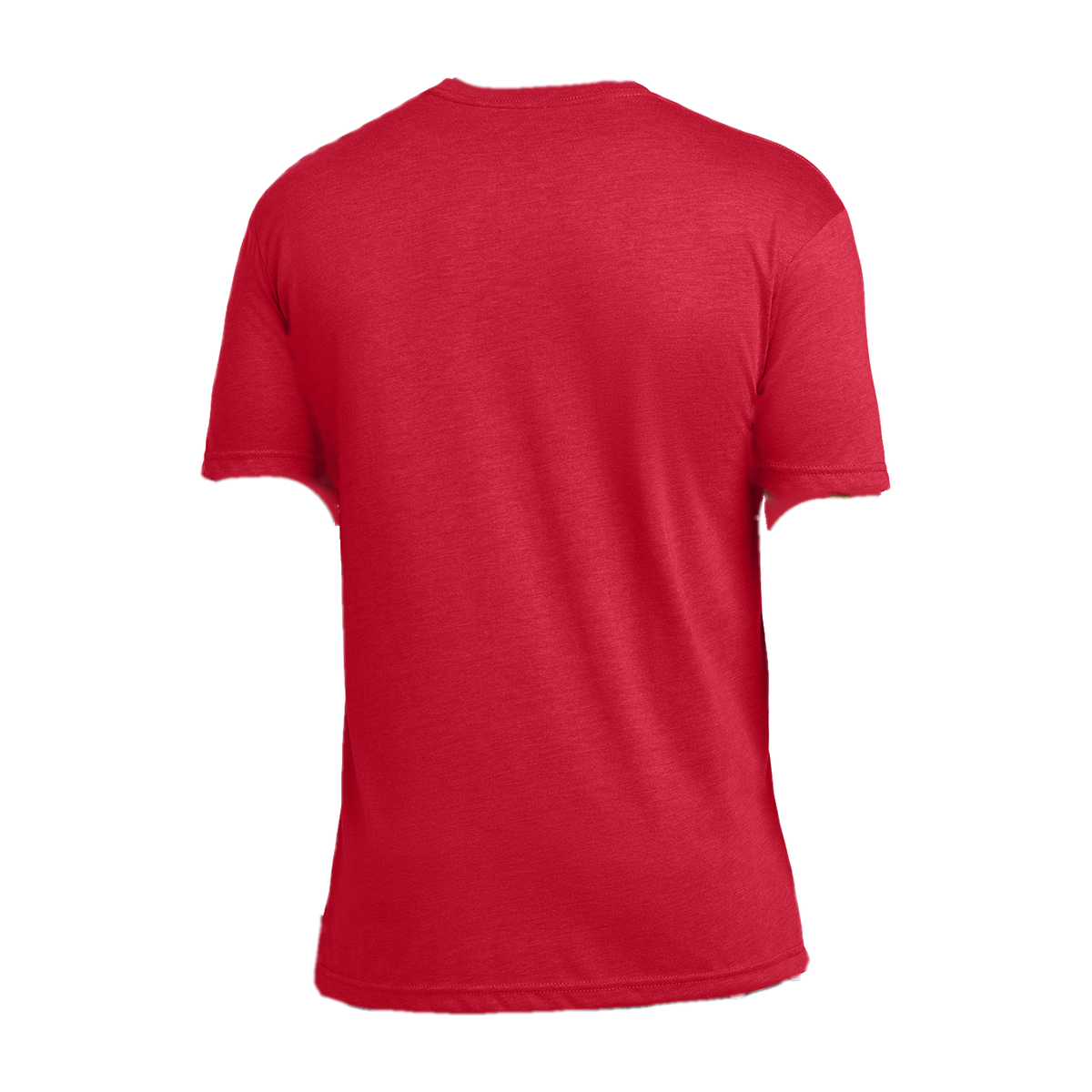 Next Level Apparel® Adult Tri-Blend Tee NL6010